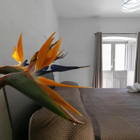 Zia Elisa Mare E Comfort - Casa vacanze Tertenìa